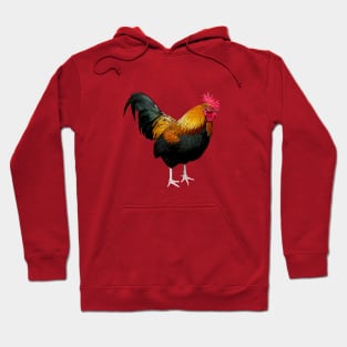 Colorful rooster Hoodie